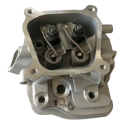 Головка в сборе на двигатель170F