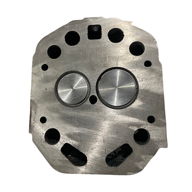 R195 Головка цилиндра в сборе (XT-15) (Мотоблоки 15 D(E), Мини-тракторы Скаут Т-15, Файтер Т-15)