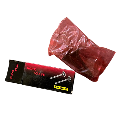 Комплект клапанов на двигатель170F